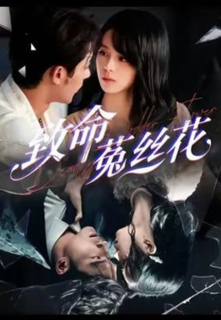 雨林深处的来信